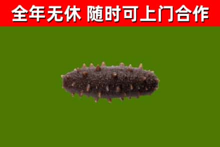 九台区烟酒回收干海参.jpg